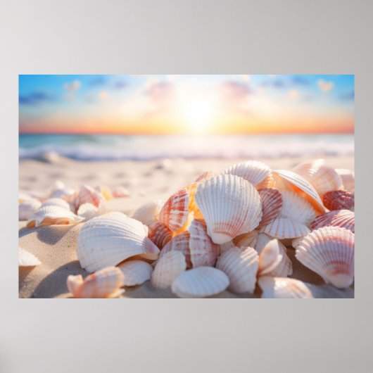Seashell Beach Natuur Serene Tranquil Poster (Voorkant)