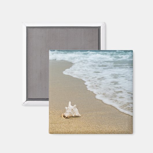 Seashell bij de Beach Magneet (Voorkant / Achterkant)