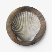 Seashell - Bord papier (Voorkant)