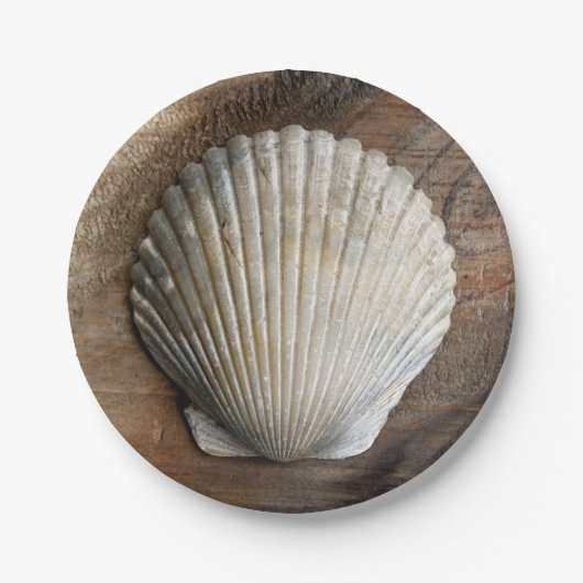 Seashell - Bord papier (Voorkant)