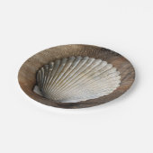 Seashell - Bord papier (Gekanteld)