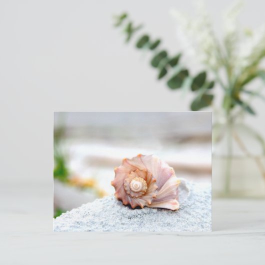 Seashell Briefkaart (Staand voorkant)