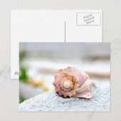Seashell Briefkaart (Voorkant / Achterkant)