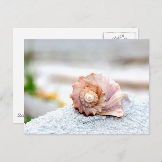 Seashell Briefkaart (Voorkant / Achterkant)