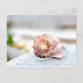Seashell Briefkaart (Voorkant)