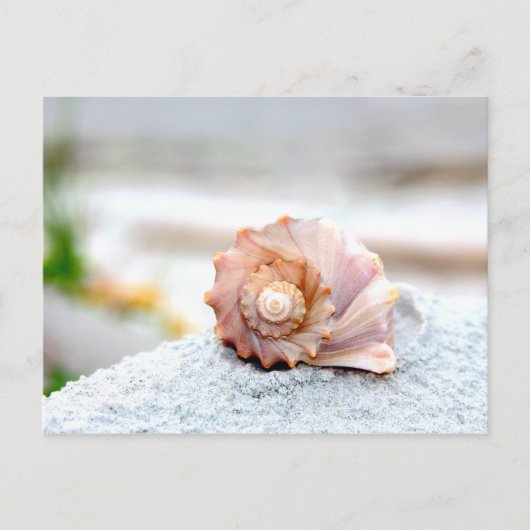 Seashell Briefkaart (Voorkant)