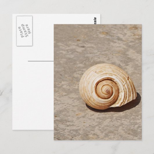 SeaShell Briefkaart (Voorkant / Achterkant)