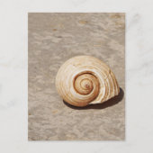SeaShell Briefkaart (Voorkant)