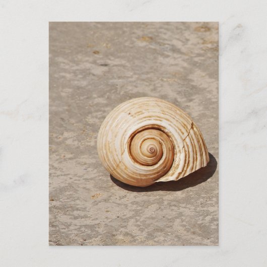 SeaShell Briefkaart (Voorkant)