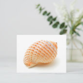Seashell Briefkaart (Staand voorkant)