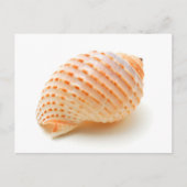 Seashell Briefkaart (Voorkant)