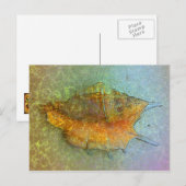 SEASHELL-Briefkaart Briefkaart (Voorkant / Achterkant)