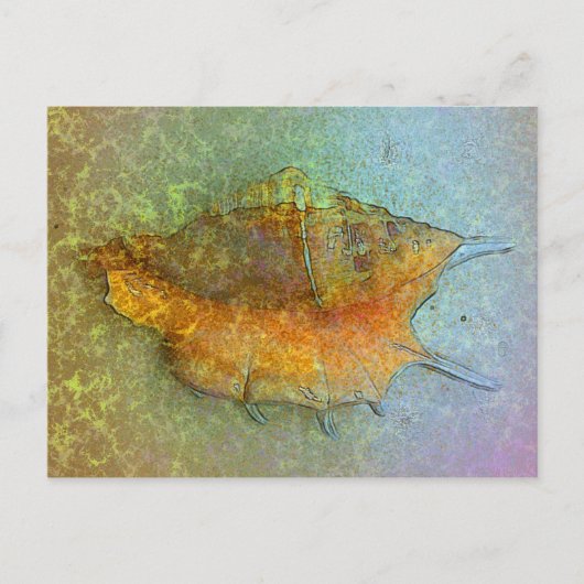 SEASHELL-Briefkaart Briefkaart (Voorkant)
