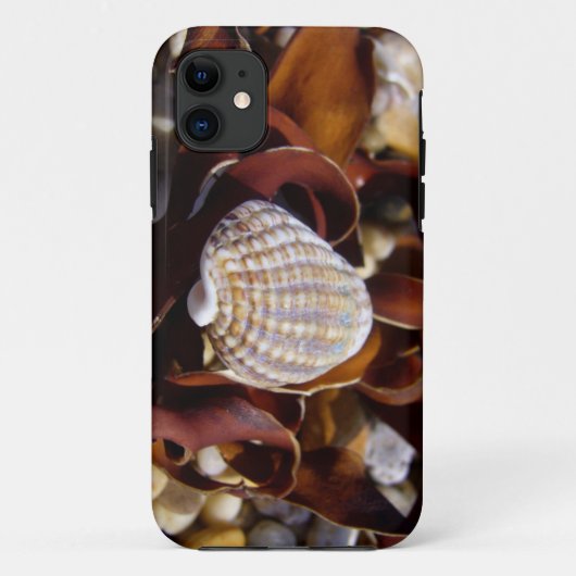 Seashell Case-Mate iPhone Case (Achterkant)