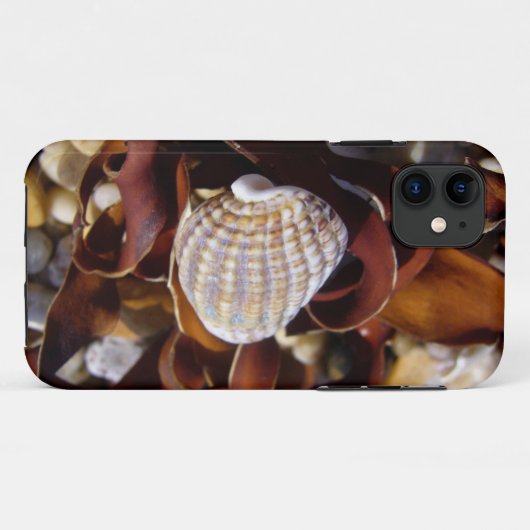 Seashell Case-Mate iPhone Case (Achterkant (horizontaal))