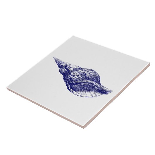 Seashell Charonia Tritonis Blauw & Wit Tegeltje (Zijkant)
