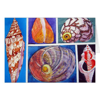 Seashell collage
