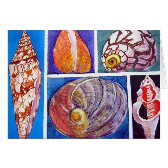 Seashell collage (Voorkant Horizontaal)