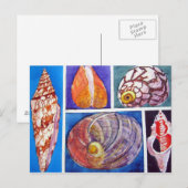 Seashell collage briefkaart (Voorkant / Achterkant)