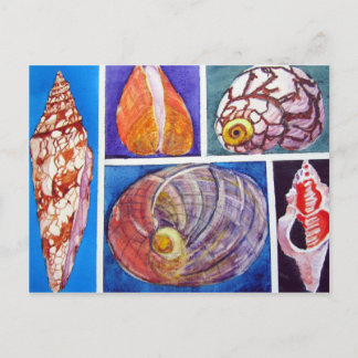 Seashell collage briefkaart