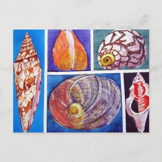 Seashell collage briefkaart (Voorkant)
