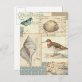 Seashell Collage Briefkaart (Voorkant / Achterkant)
