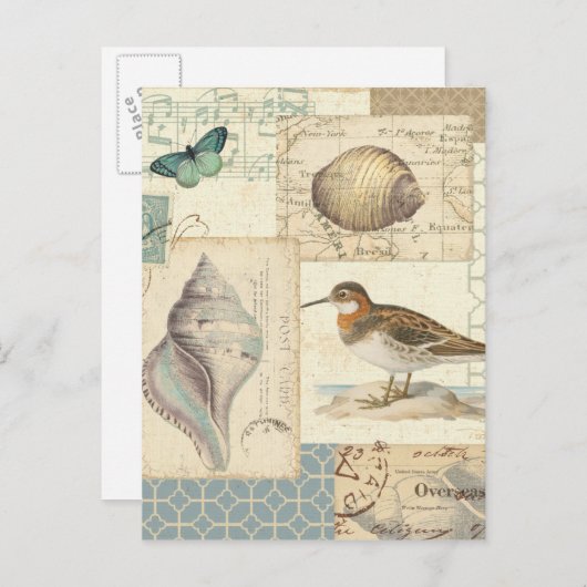 Seashell Collage Briefkaart (Voorkant / Achterkant)