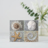 Seashell Collage Briefkaart (Staand voorkant)