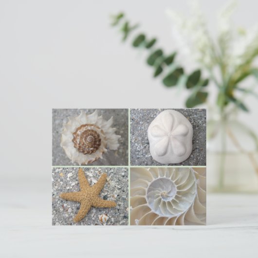 Seashell Collage Briefkaart (Staand voorkant)