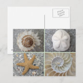 Seashell Collage Briefkaart (Voorkant / Achterkant)