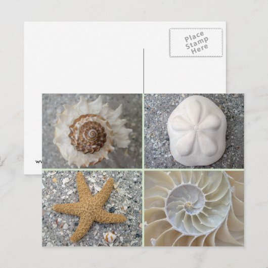 Seashell Collage Briefkaart (Voorkant / Achterkant)
