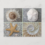 Seashell Collage Briefkaart (Voorkant)