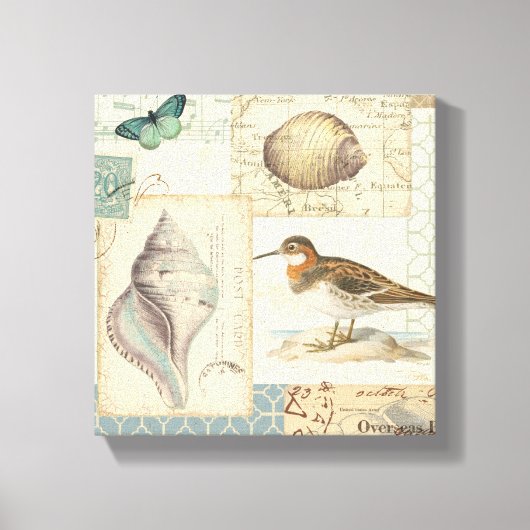Seashell Collage Canvas Afdruk (Voorkant)