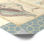 Seashell Collage Poster (Hoek)