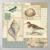 Seashell Collage Poster (Voorkant)