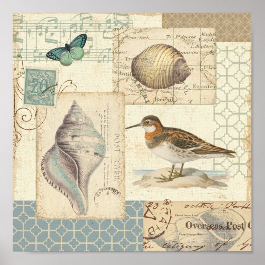 Seashell Collage Poster (Voorkant)