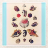  Seashell Collectie Lichtblauw Glazen Onderzetter (Voorkant)