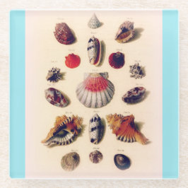  Seashell Collectie Lichtblauw Glazen Onderzetter