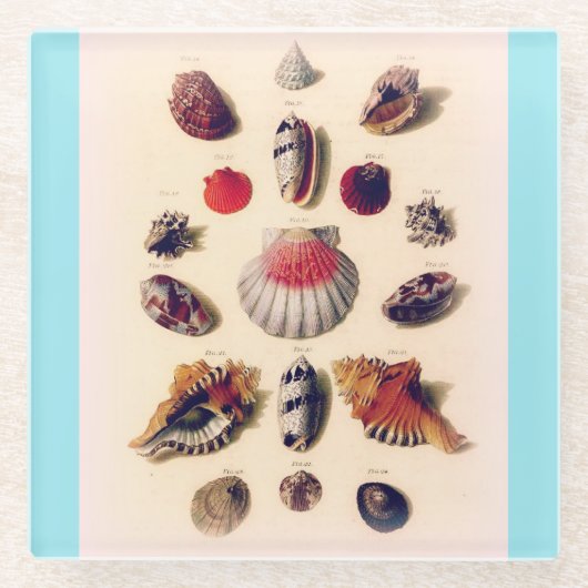  Seashell Collectie Lichtblauw Glazen Onderzetter (Voorkant)