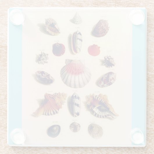  Seashell Collectie Lichtblauw Glazen Onderzetter (Achterkant)