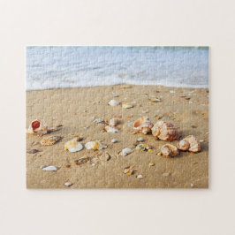 Seashell Collection Legpuzzel