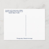 Seashell Elephant Craft Animal Sanibel Island FL Briefkaart (Achterkant)