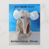 Seashell Elephant Craft Animal Sanibel Island FL Briefkaart (Voorkant)
