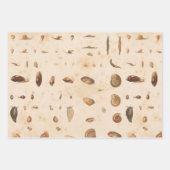  Seashell en Slak Inpakpapier Vel (Voorkant)
