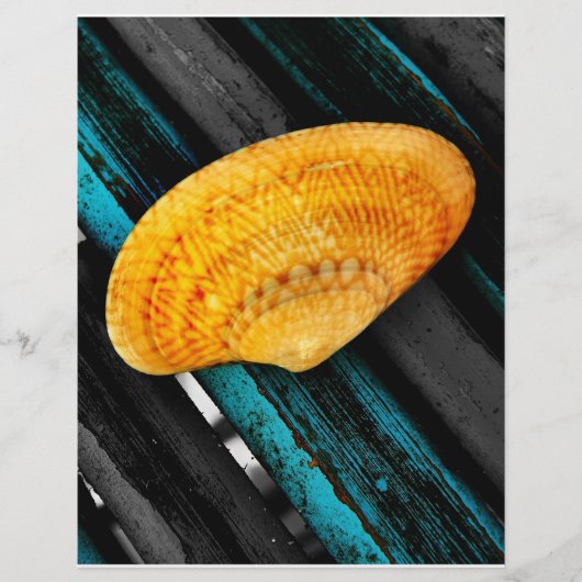 seashell flyer (Voorkant)