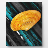 seashell fotoplaat (Voorkant)