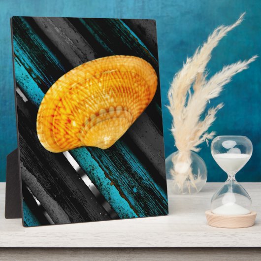 seashell fotoplaat (Zijkant)
