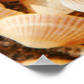 Seashell gestructureerde zomer strand achtergrond. poster (Hoek)