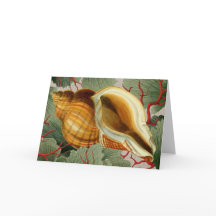  Seashell gevouwen notitie Kaart