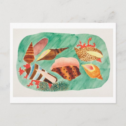  Seashell Illustratie Briefkaart (Voorkant)